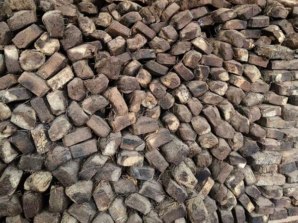 芝麻香型酒曲价格